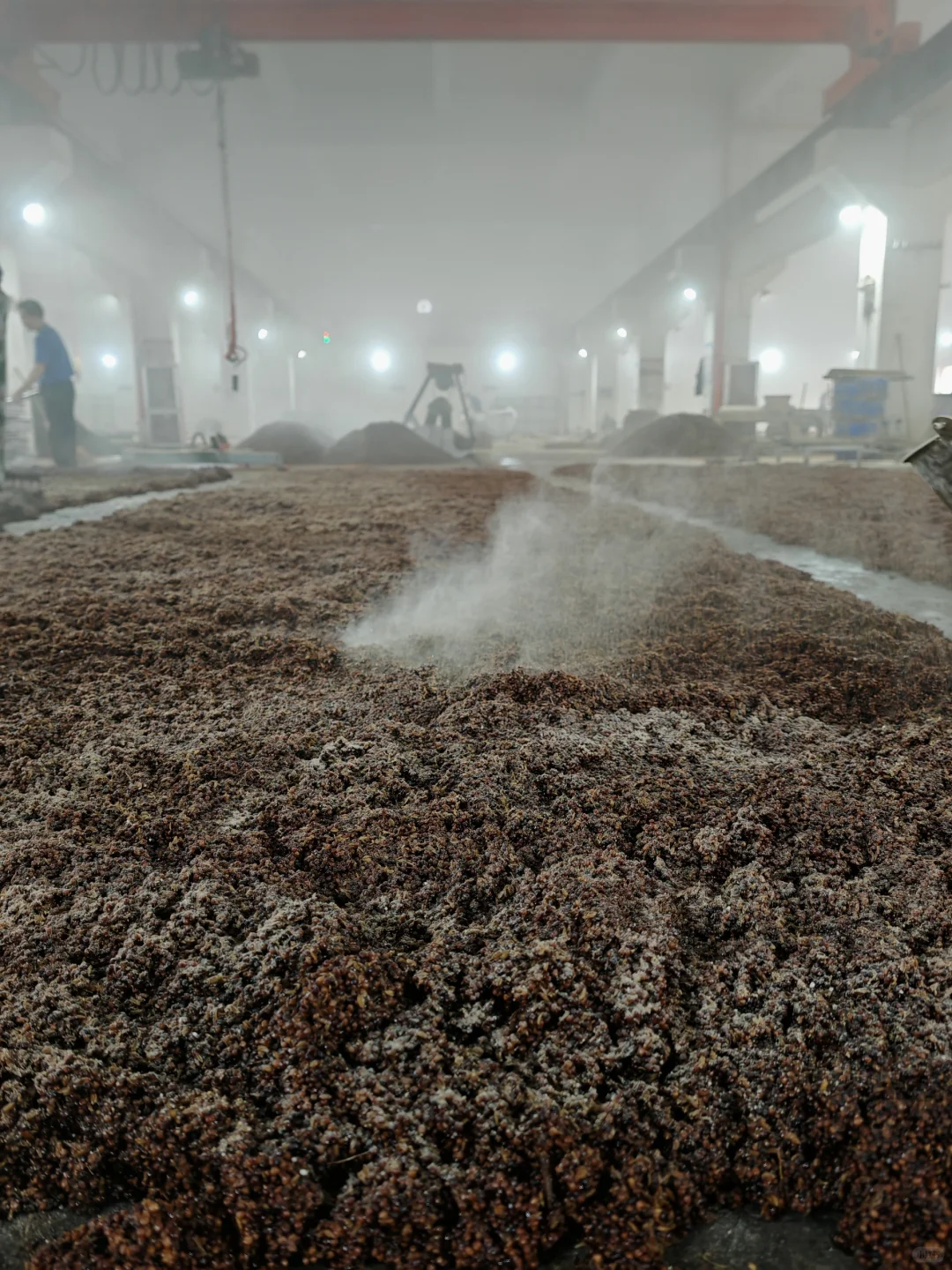 揭秘！?酿好酒的诀窍！