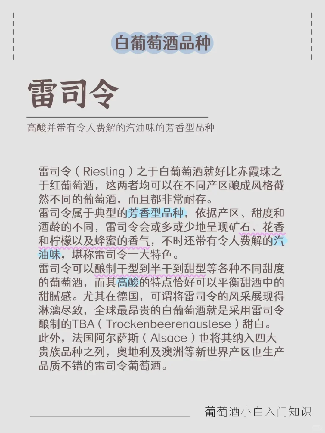 三分钟带你速通‖葡萄酒六大品种