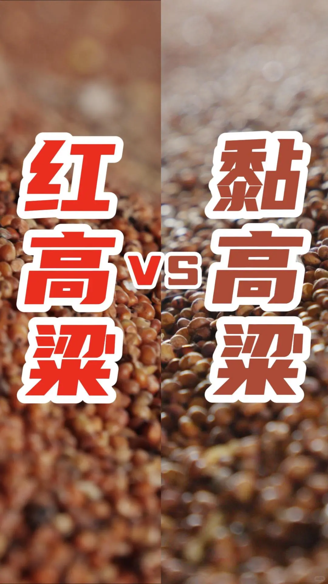 解锁小众高粱酒!黏高粱酒才是隐藏王者!