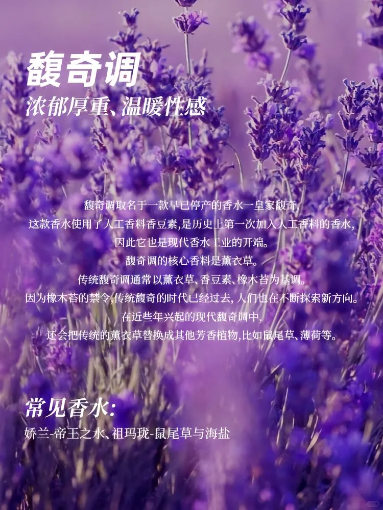 ?香水12香调指南 | 开启芬芳寻香之旅