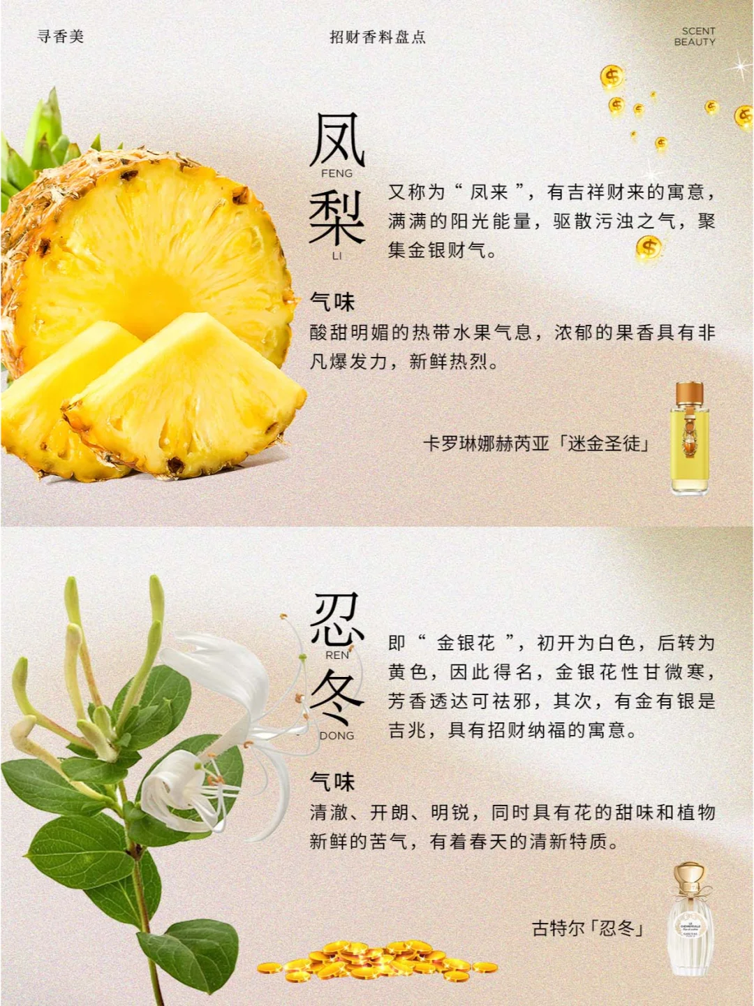 香水玄学|?这些香料自带吸金属性！！