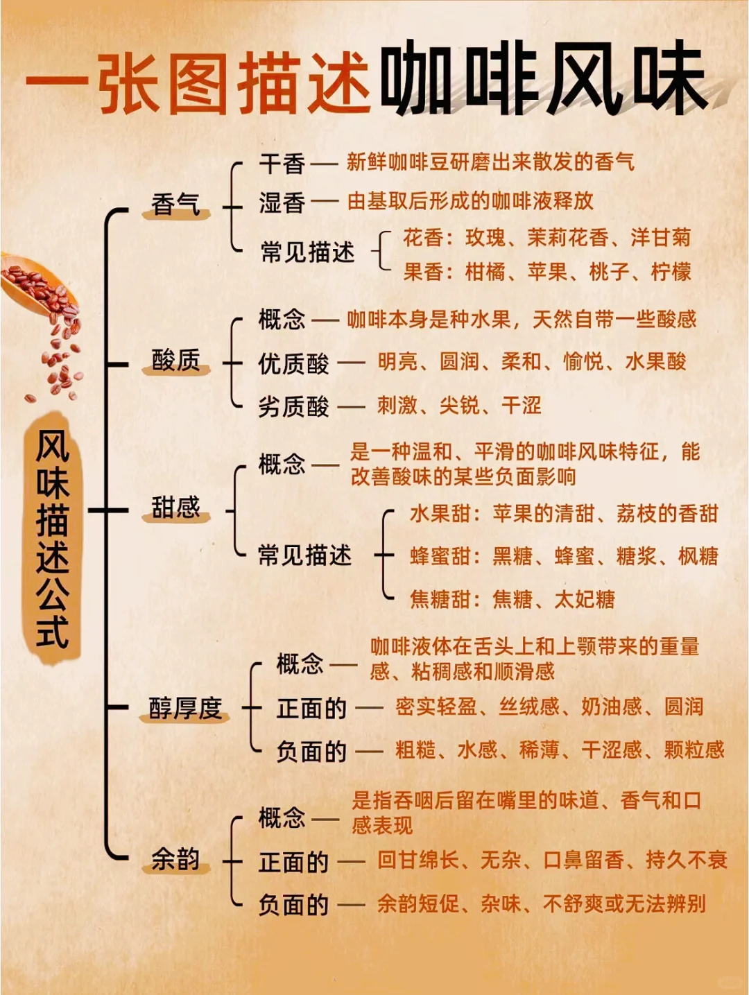 一张图描述咖啡风味☕️