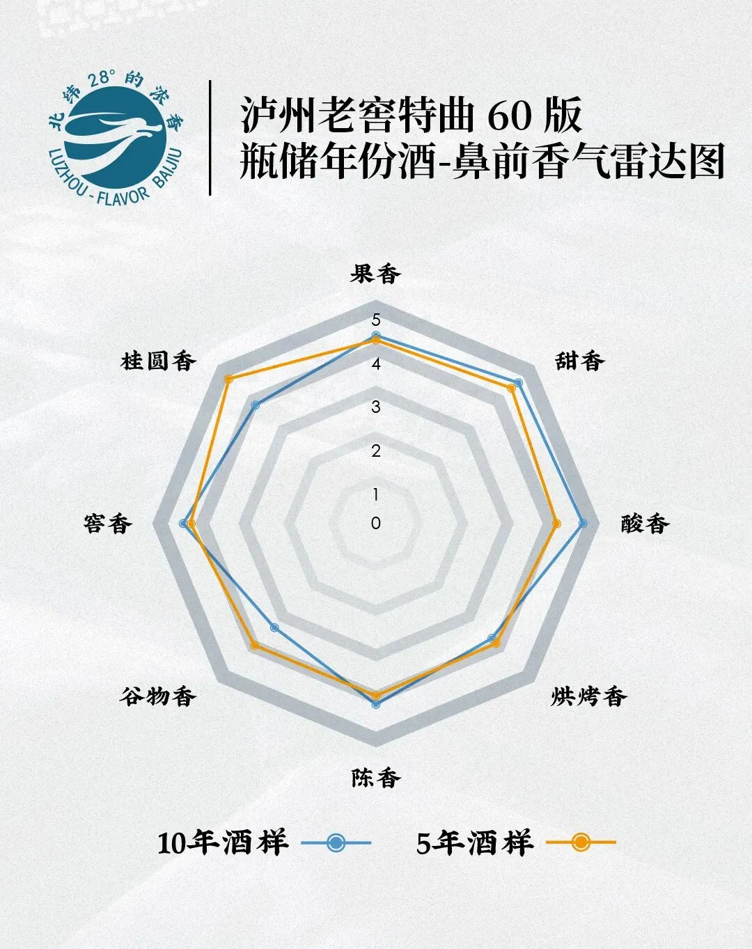 中原启航，浓香出海