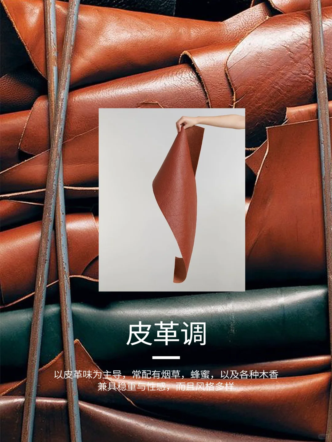 闻香小课堂?香调分类你了解吗