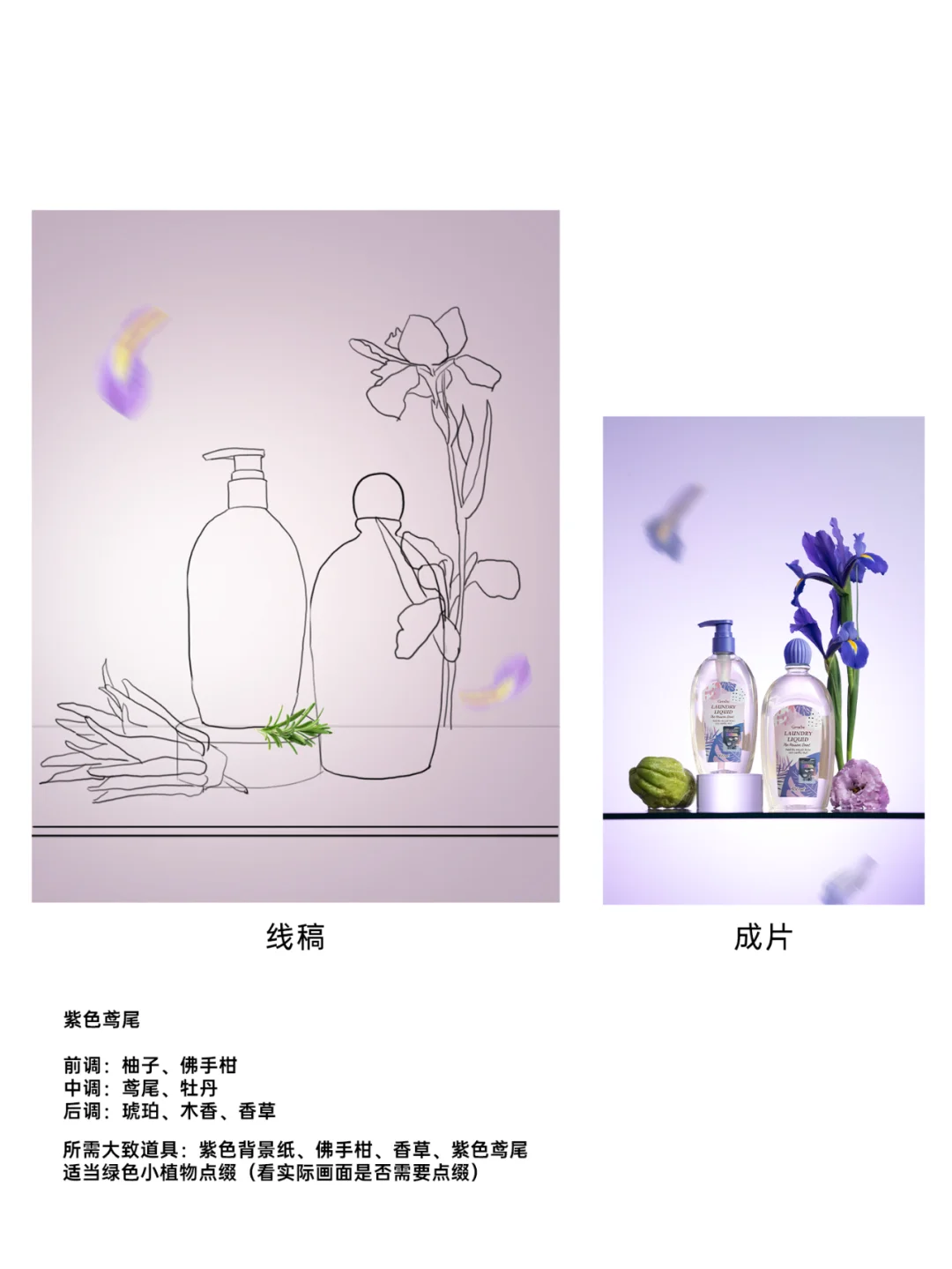 产品香型图拍摄方案手稿 (花卉水果版）