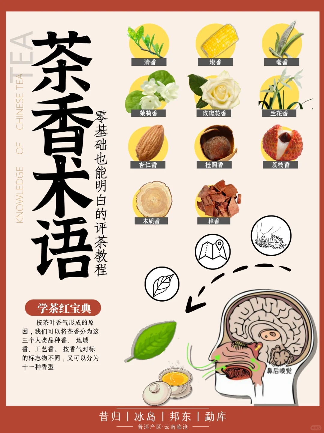 ?学茶|茶香术语,茶的这些香气你都了解