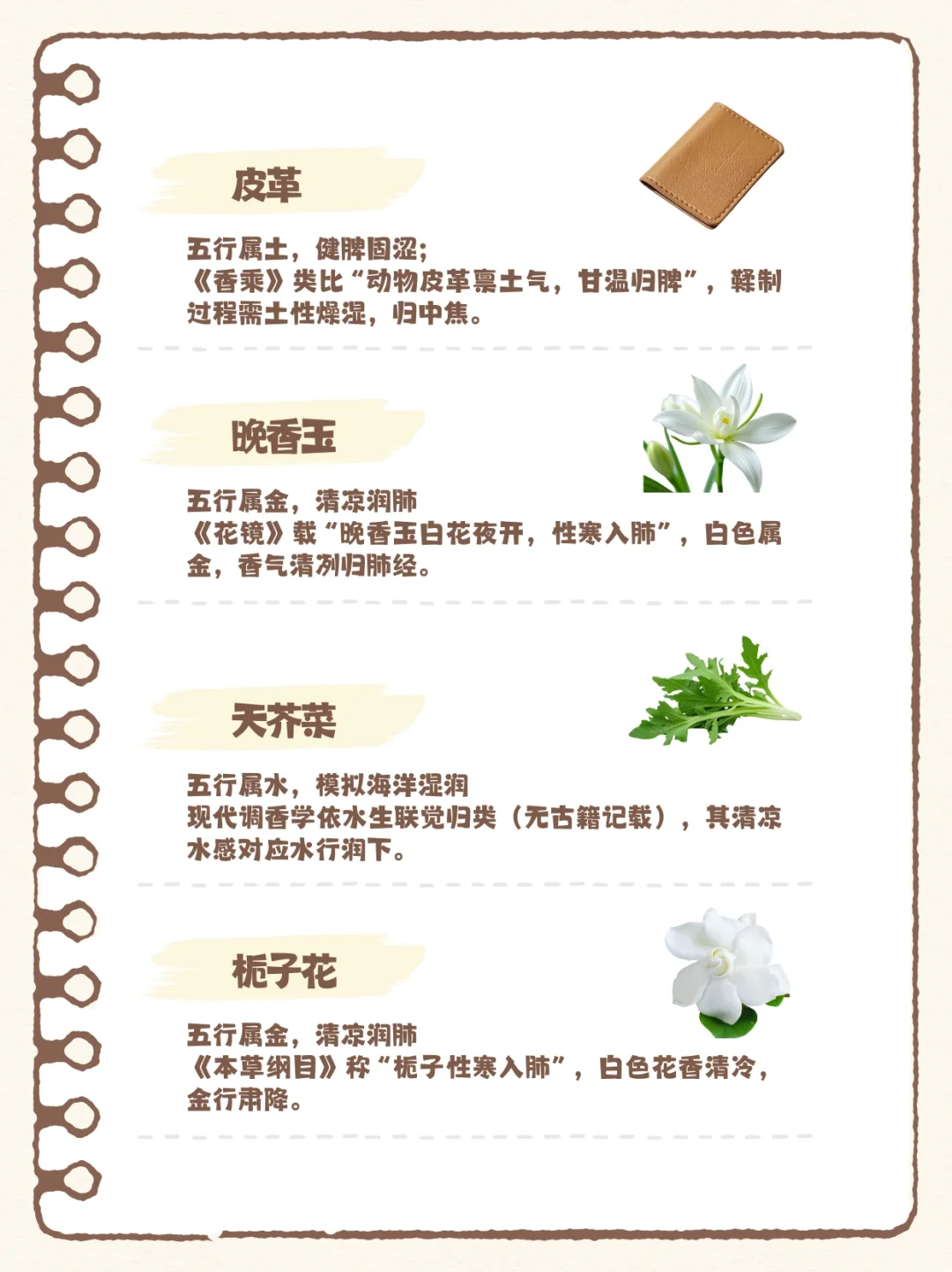 香水暗藏五行能量？100种香料五行解析（下）