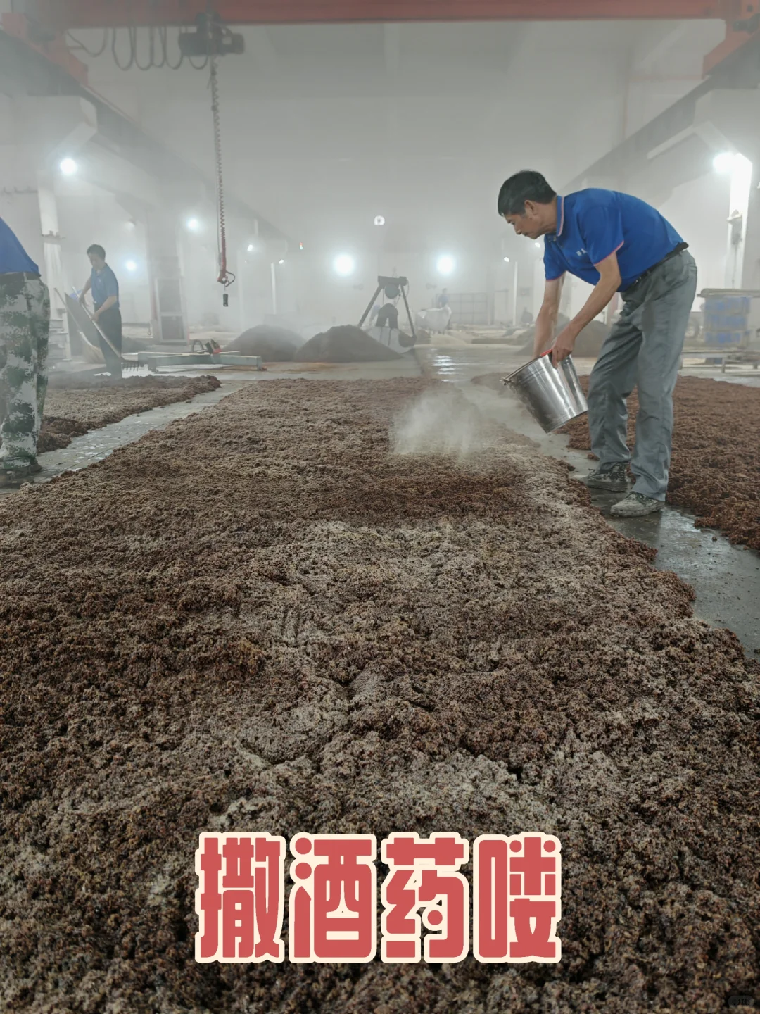 揭秘！?酿好酒的诀窍！