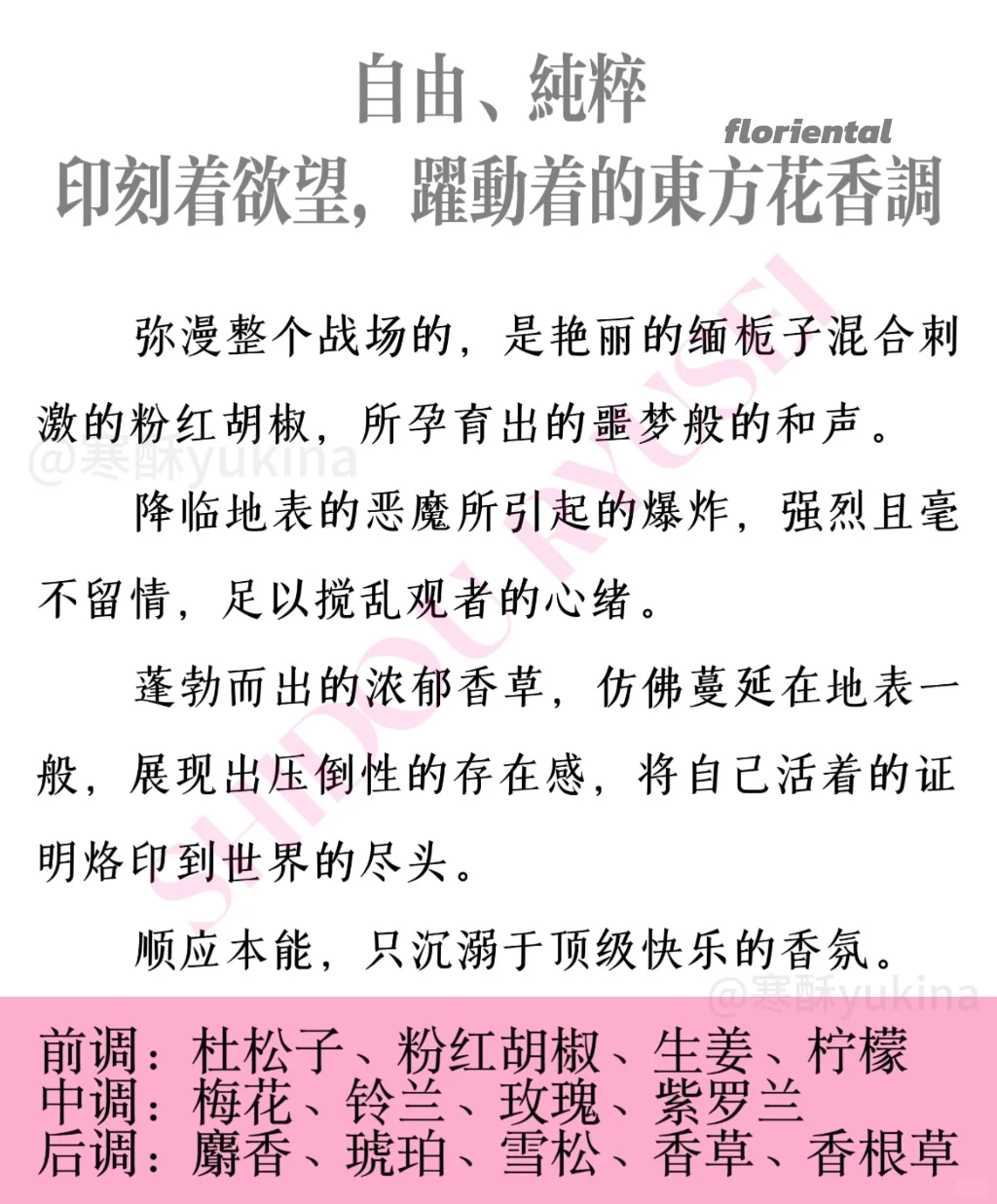 士道龙圣｜香水香型翻译&解读?