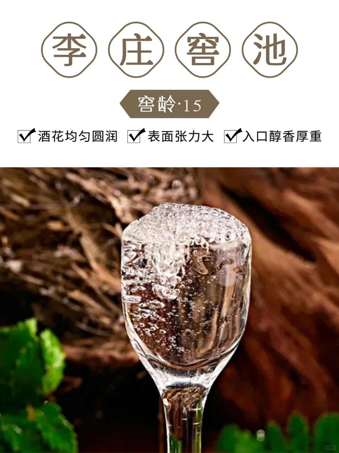 酒逢知己千杯少，纯粮佳酿乐逍遥