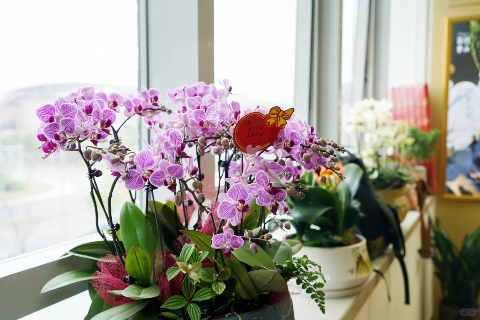 白酒文化:中国酿造的瑰宝