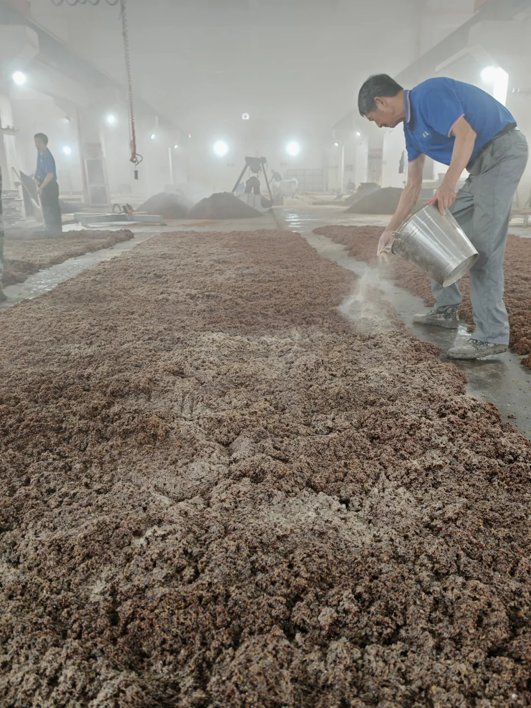 揭秘！?酿好酒的诀窍！