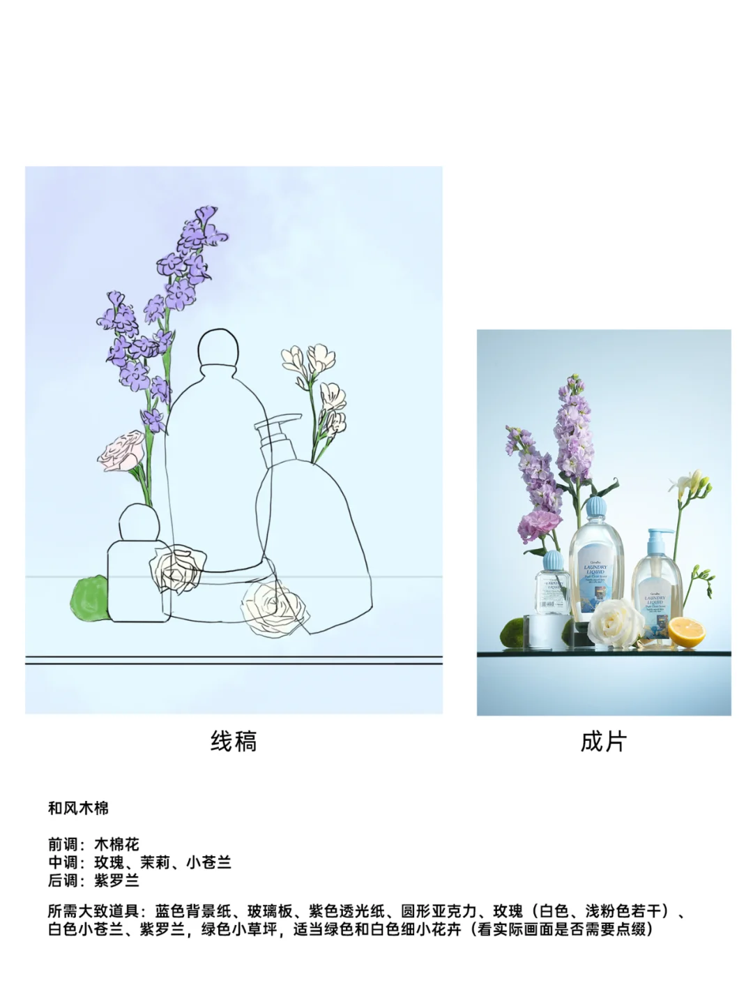 产品香型图拍摄方案手稿 (花卉水果版）