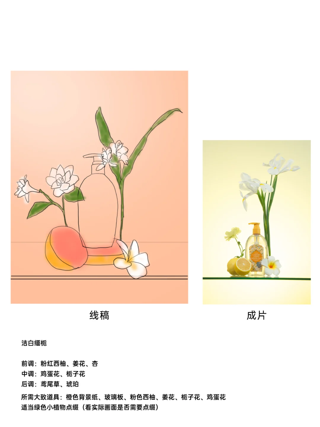 产品香型图拍摄方案手稿 (花卉水果版）