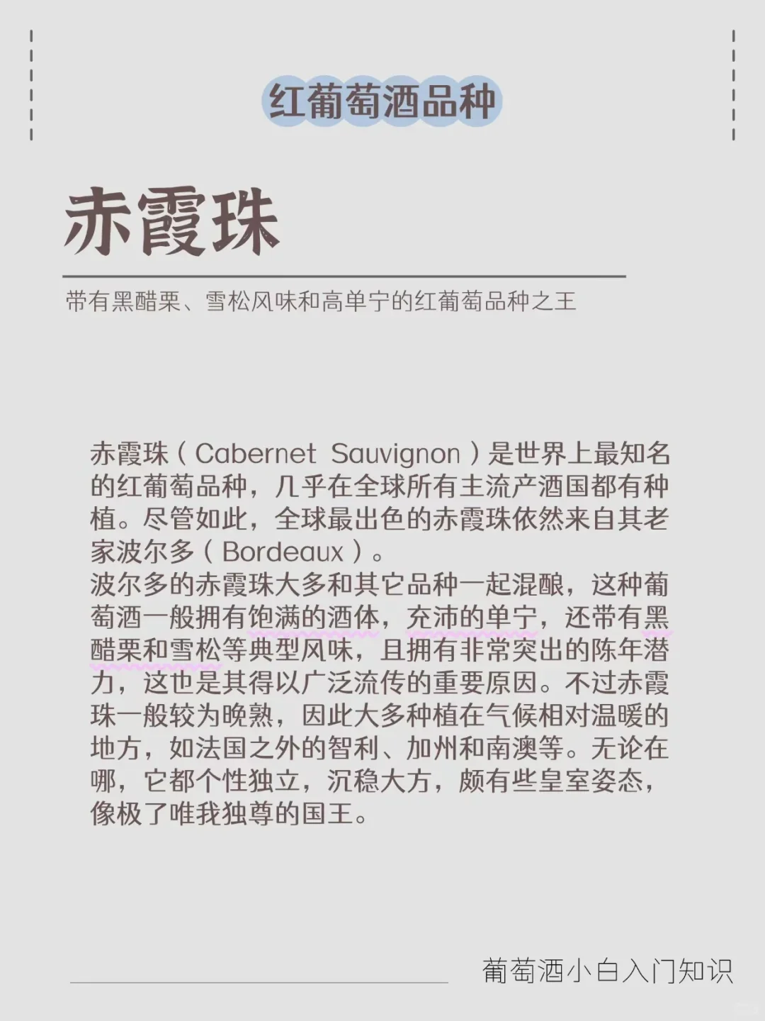 三分钟带你速通‖葡萄酒六大品种