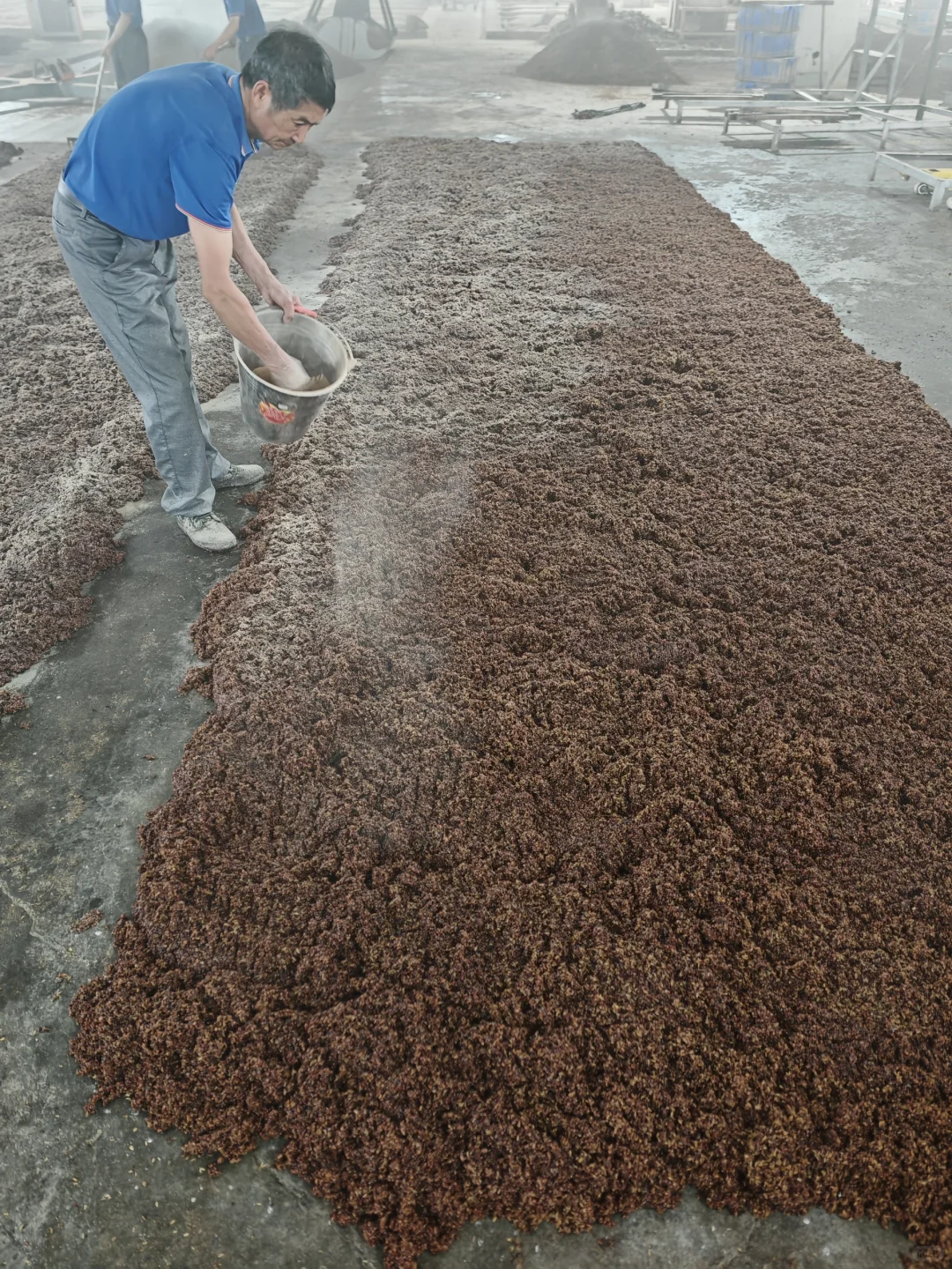 揭秘！?酿好酒的诀窍！