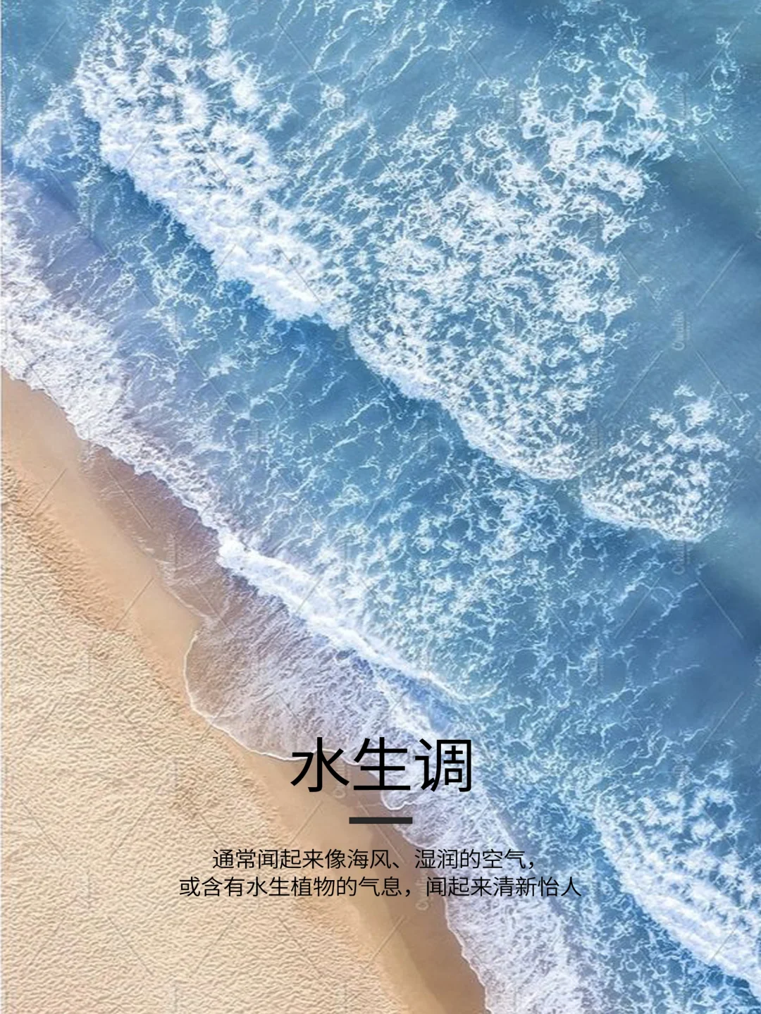 闻香小课堂?香调分类你了解吗