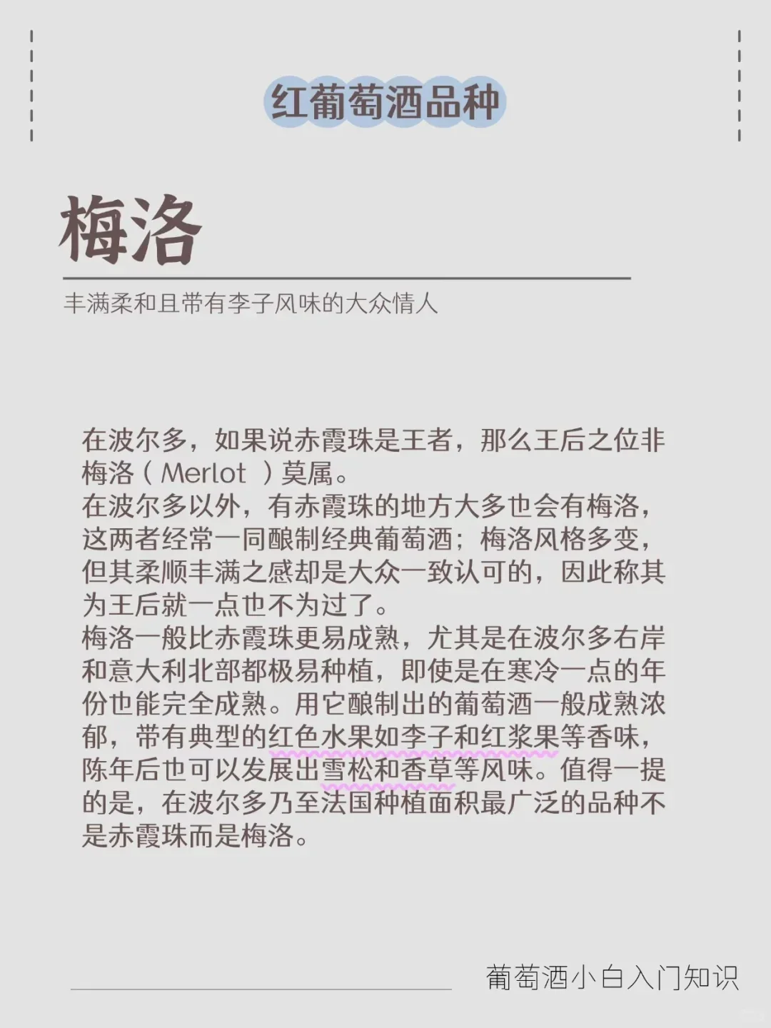 三分钟带你速通‖葡萄酒六大品种