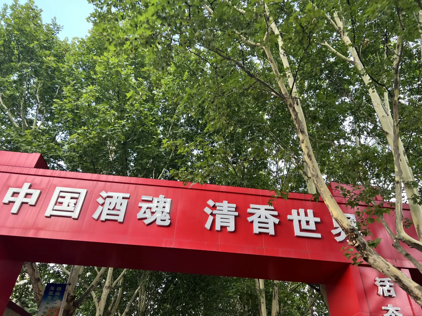 我这酒可以吗？百年老坛造！