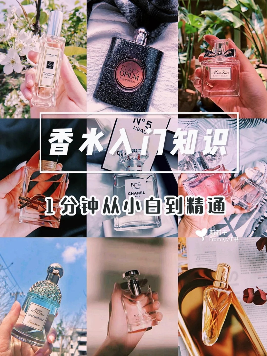 ?香水入门知识?11种香调体验