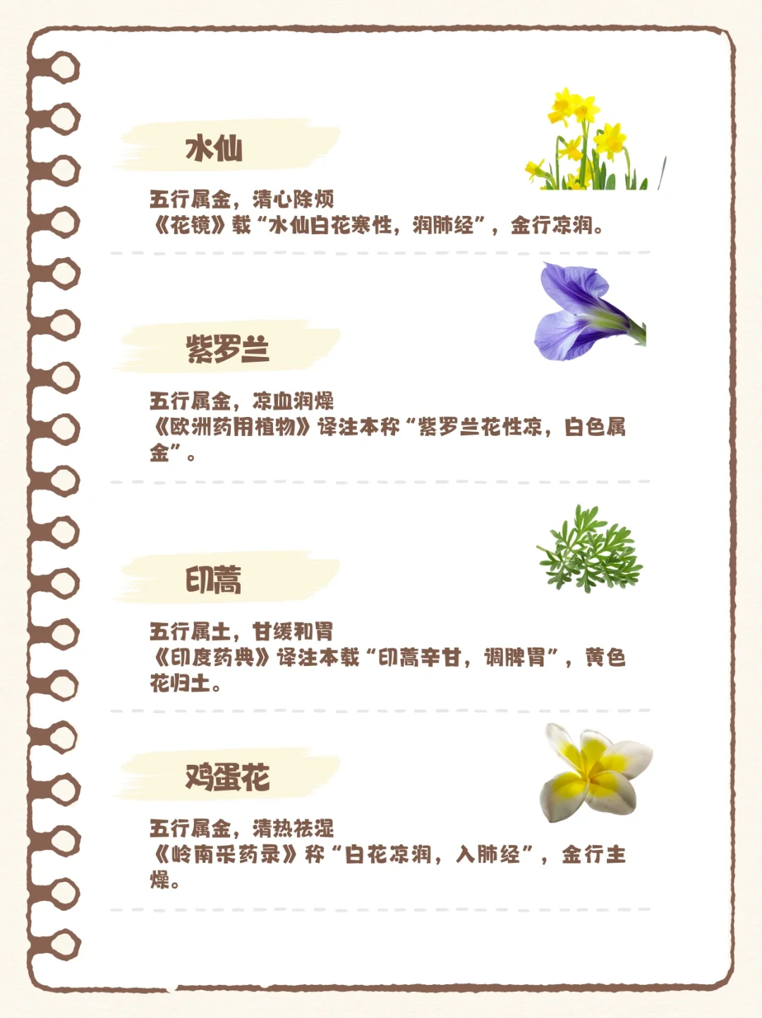 香水暗藏五行能量？100种香料五行解析（下）