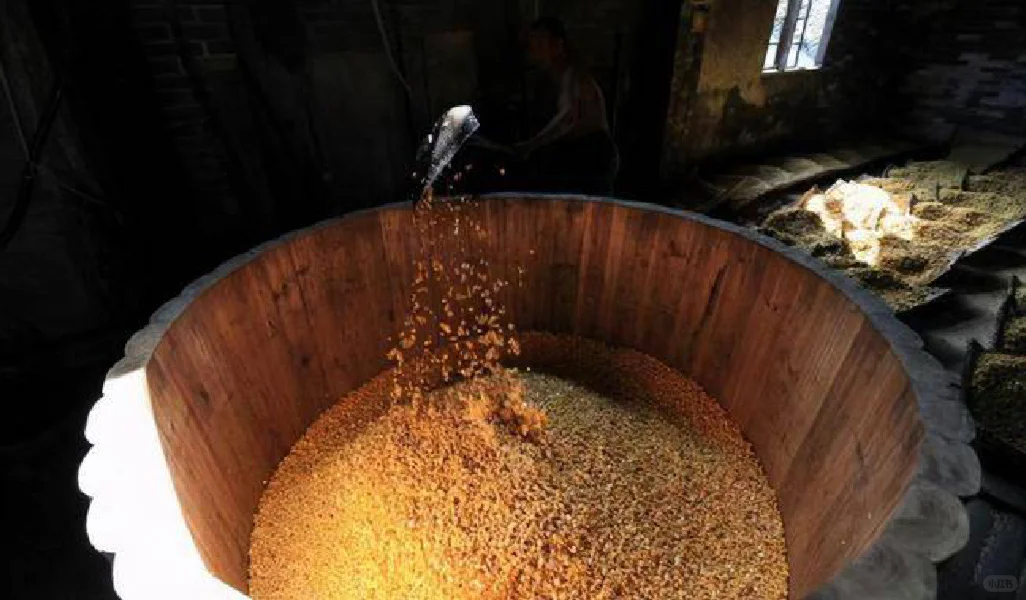 一句话读懂固态发酵和液态发酵的区别