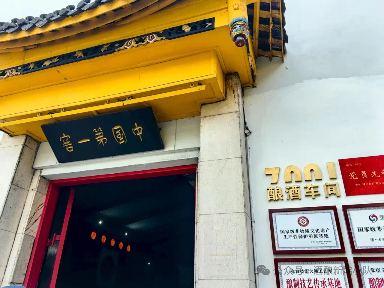 第三站|泸州老窖