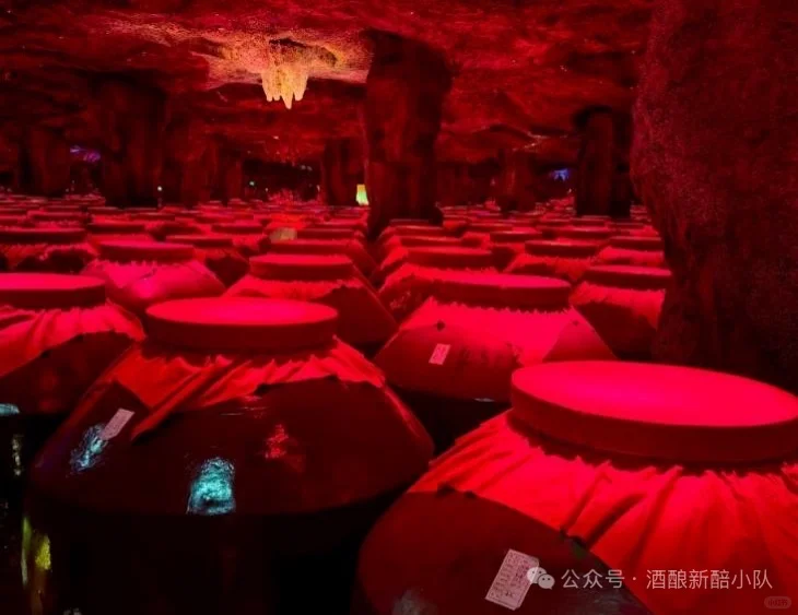 第三站|泸州老窖