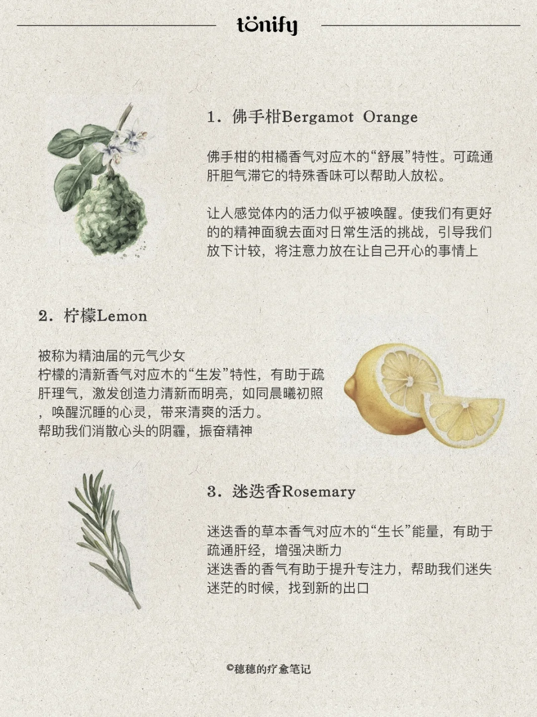 自然疗愈｜五?喜木之人适合的香气