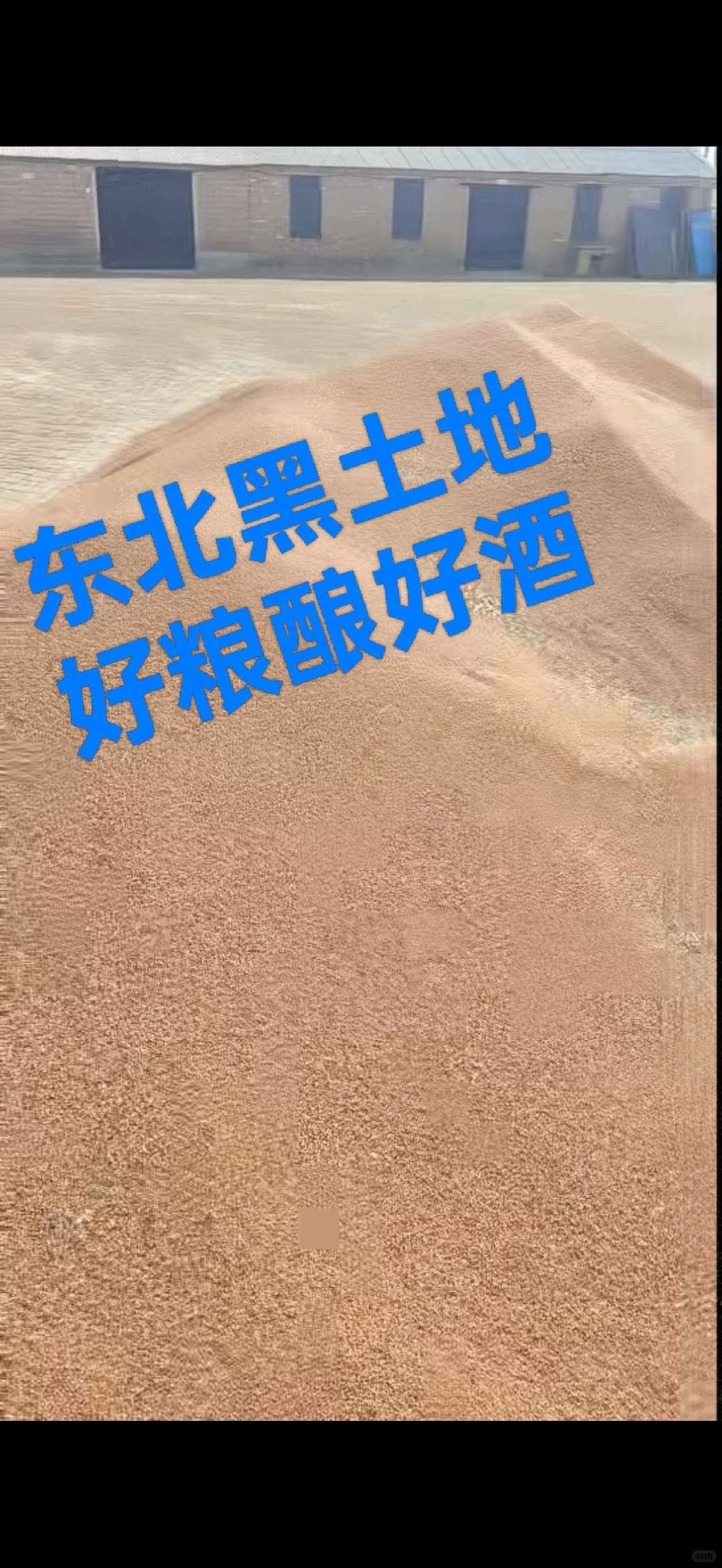 解锁小众高粱酒!黏高粱酒才是隐藏王者!