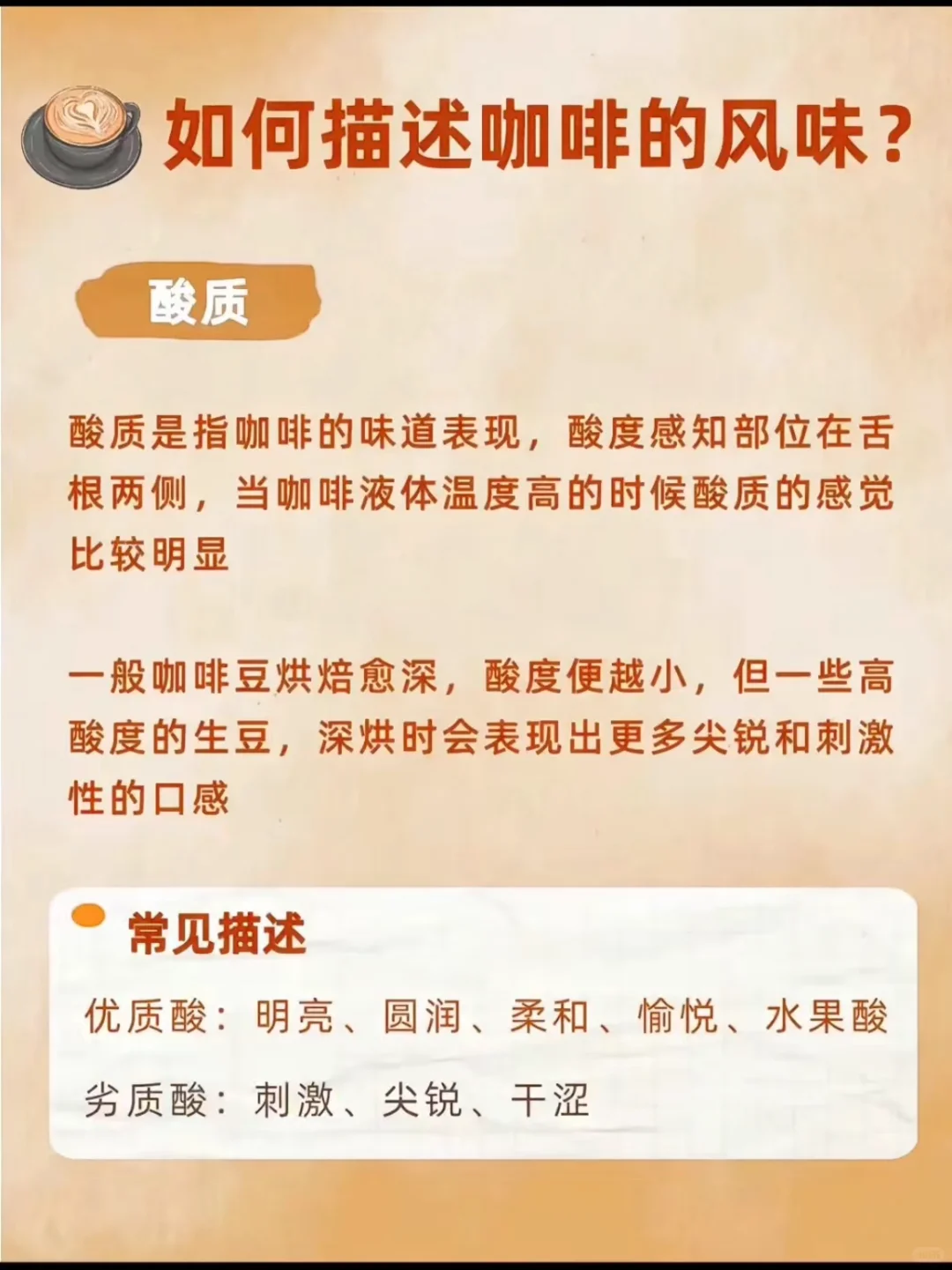 一看就懂的咖啡风味图解！☕️