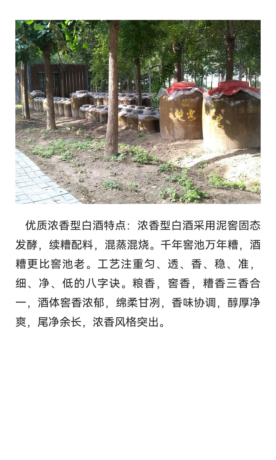 楚客酒庄：园林式封藏酒庄