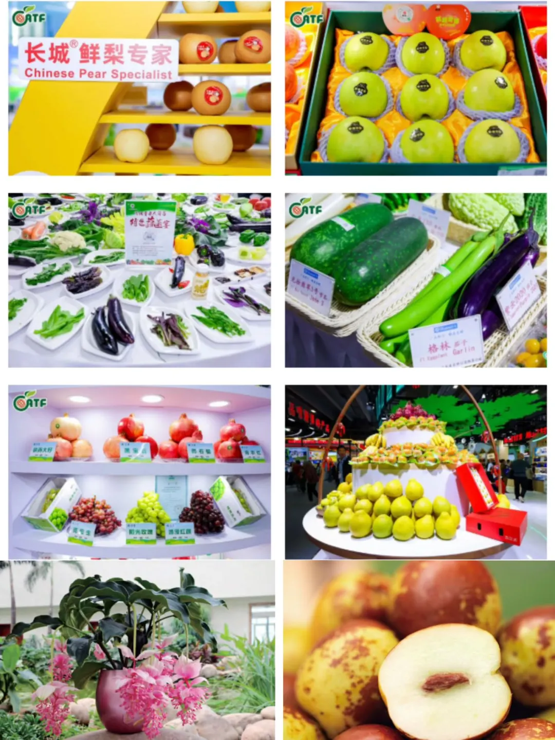 22届农交会，3天不重样的逛吃狂欢来了！