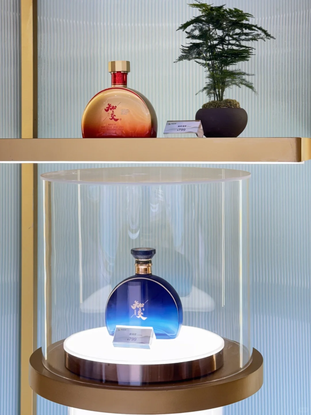 来贵阳……见大世面了!!!