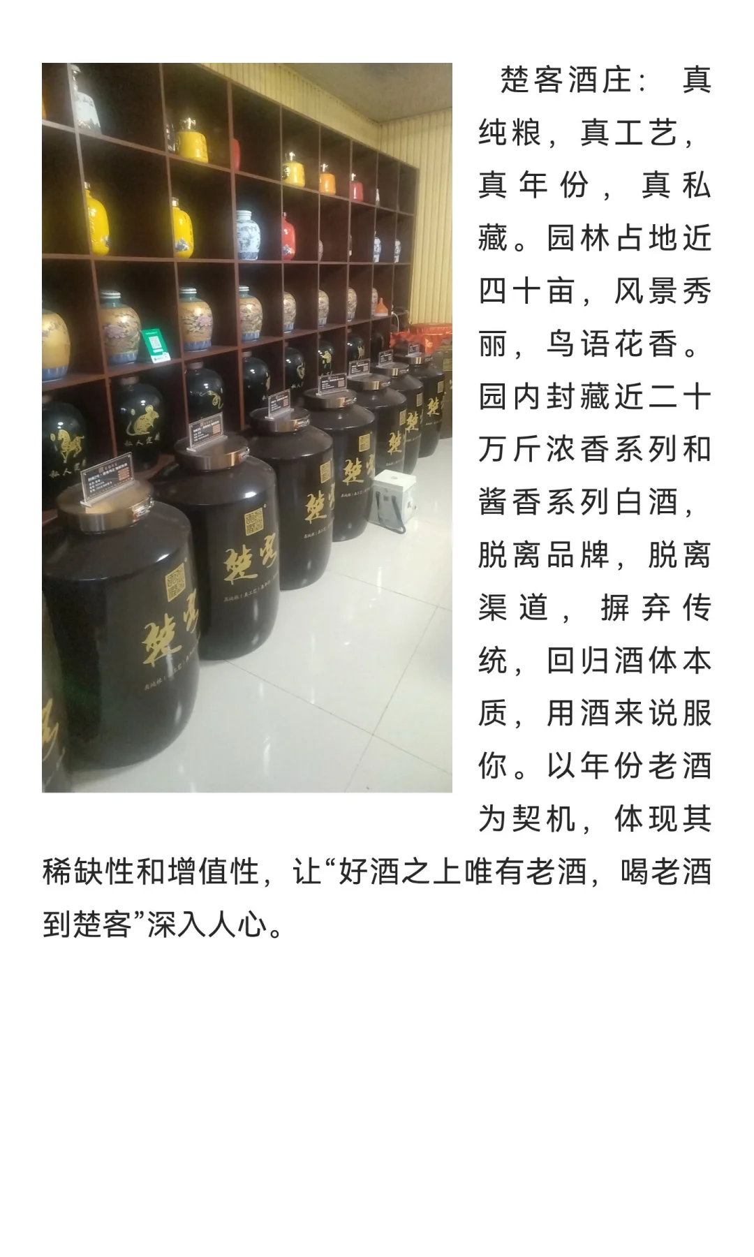 楚客酒庄：园林式封藏酒庄