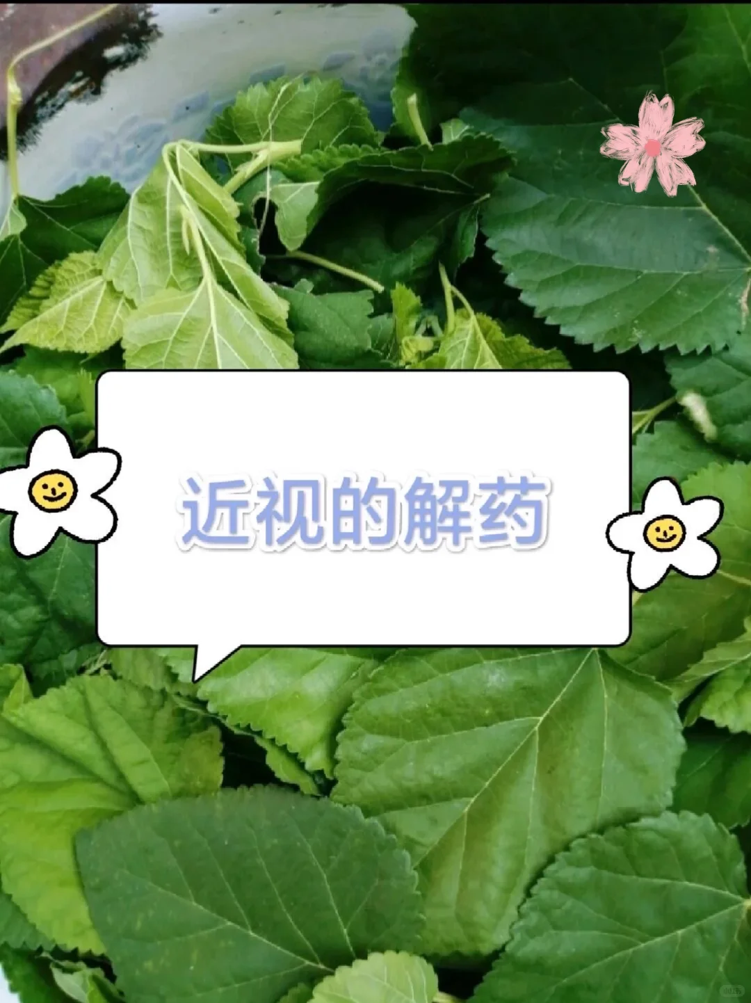 高度近视的解药就是这个?