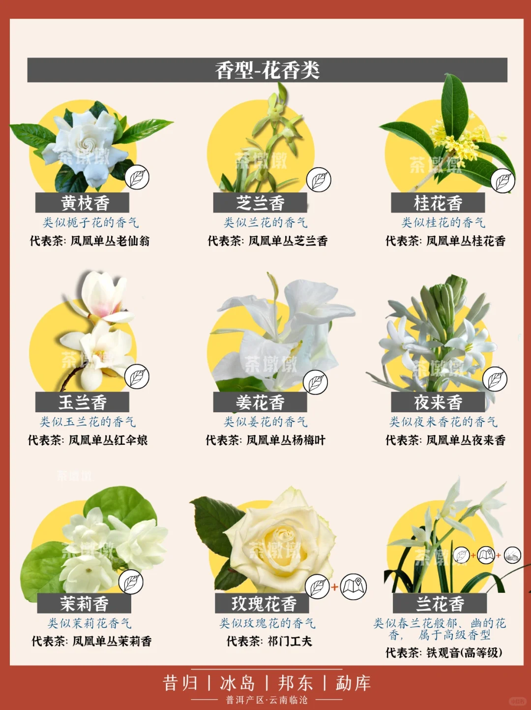 ?学茶|茶香术语,茶的这些香气你都了解