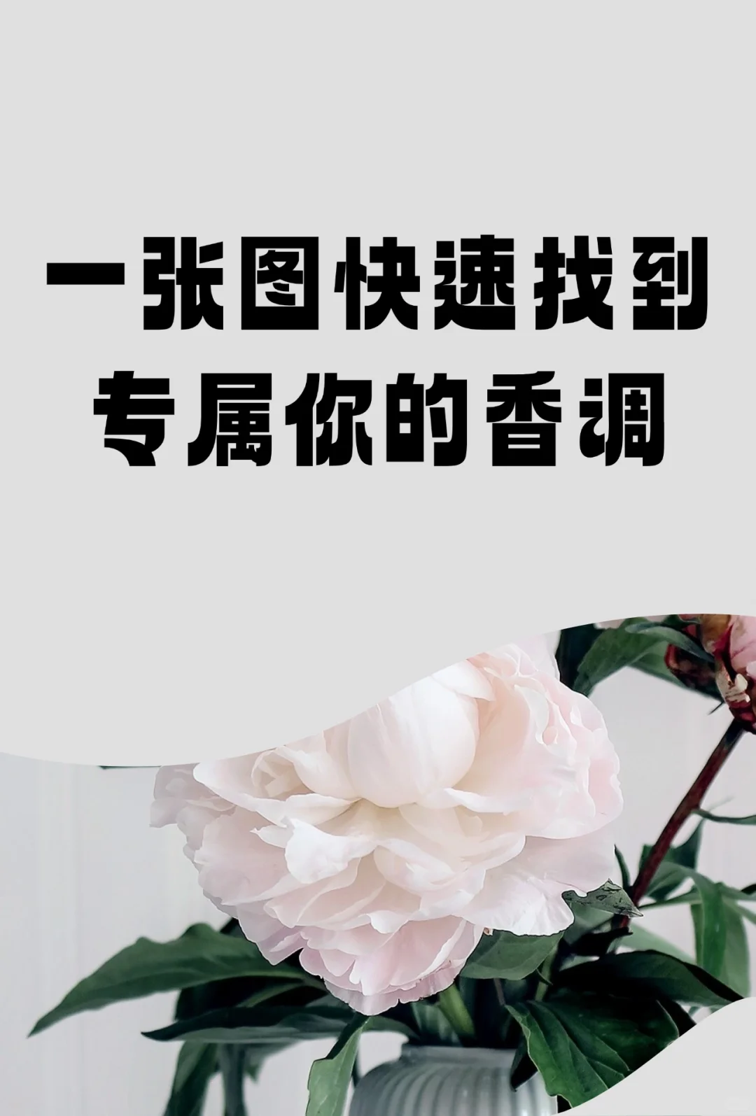 干货| 一张图快速读懂专属你的香调?