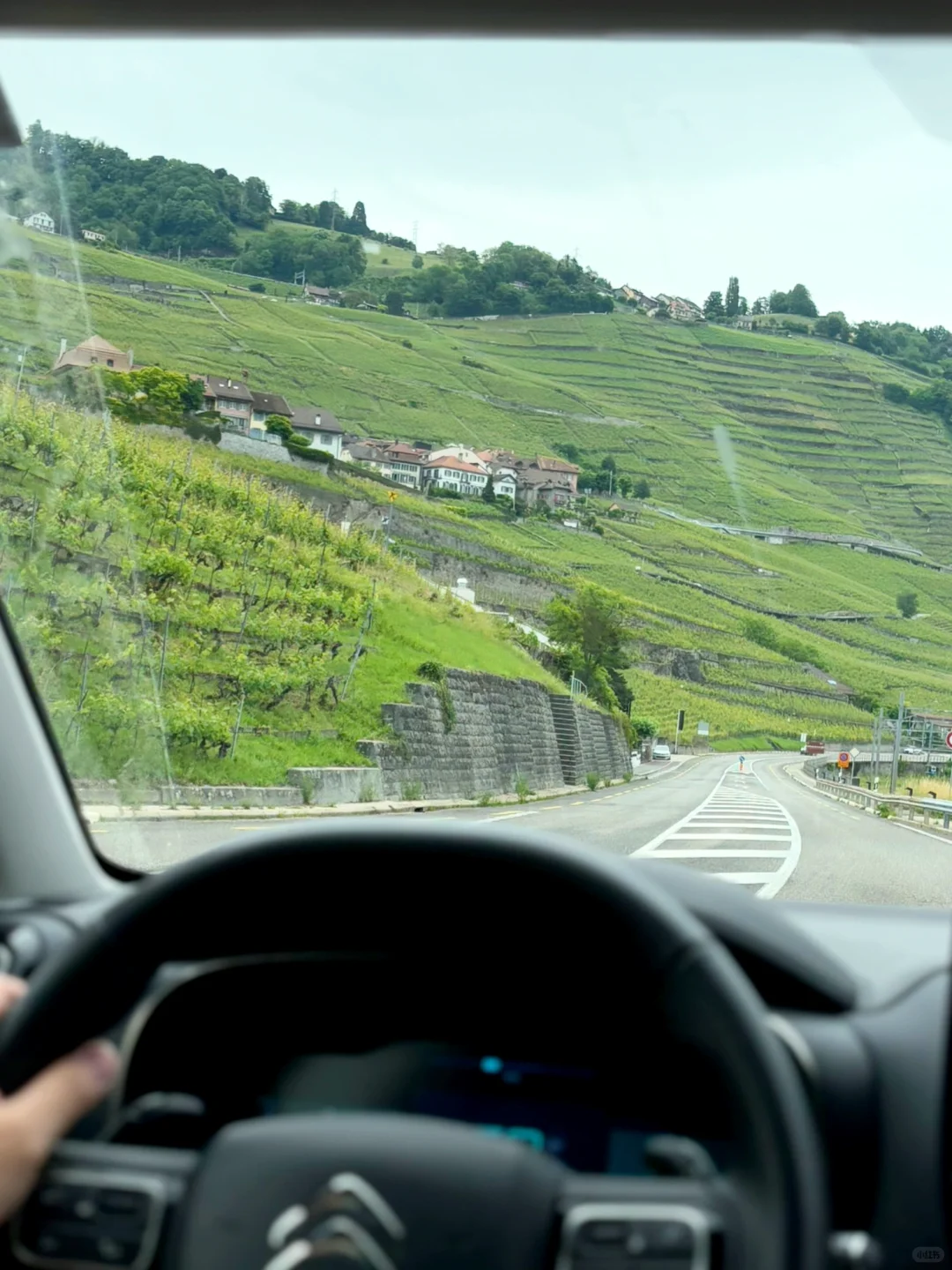 回国后，拉沃地区的后劲体现在一杯白葡萄酒