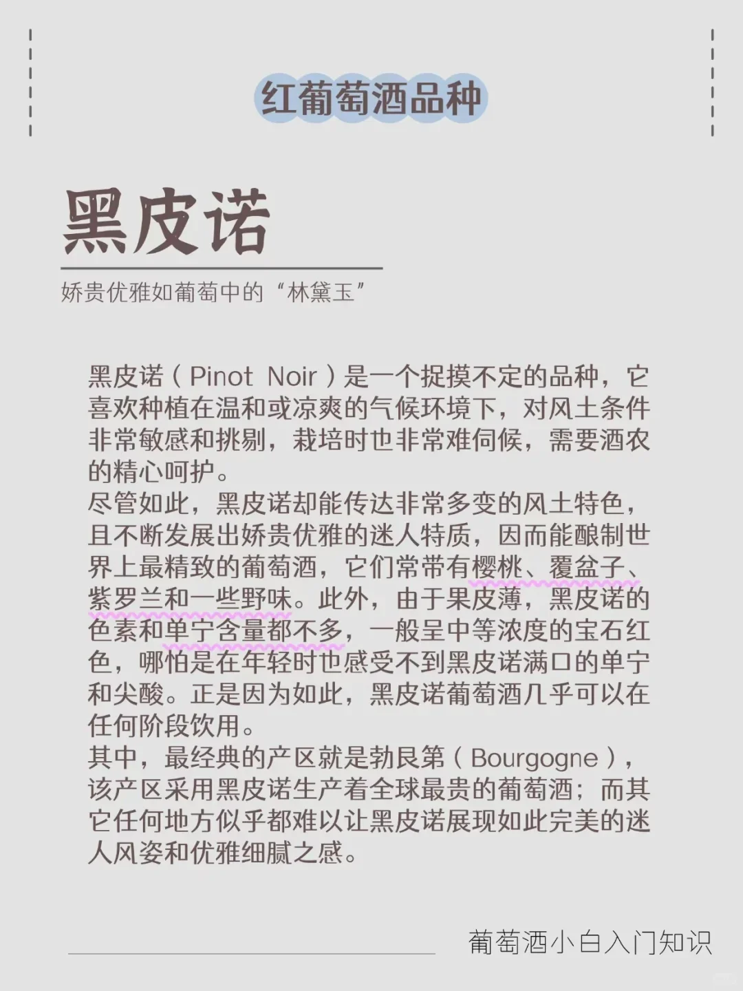 三分钟带你速通‖葡萄酒六大品种