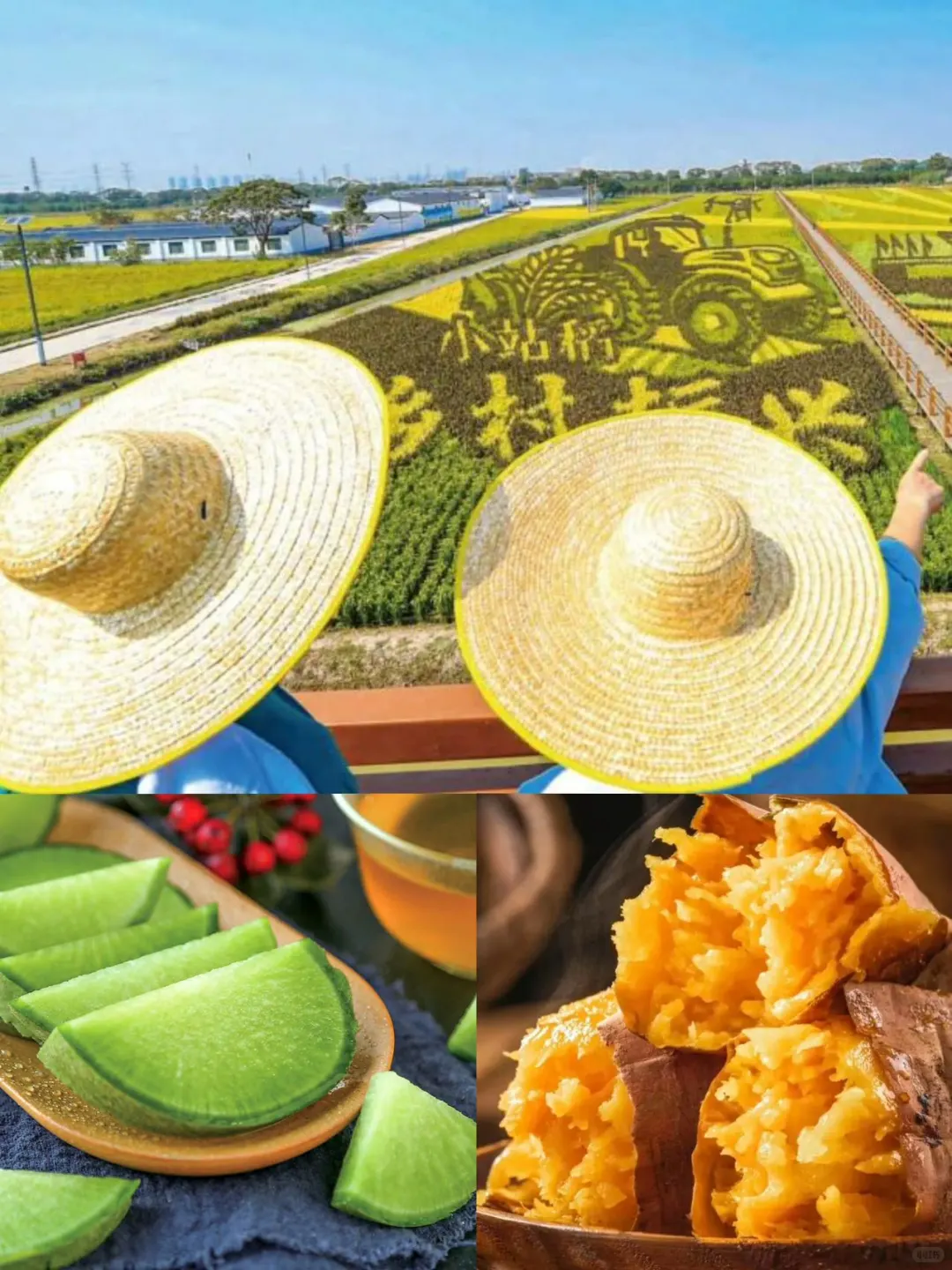 22届农交会，3天不重样的逛吃狂欢来了！