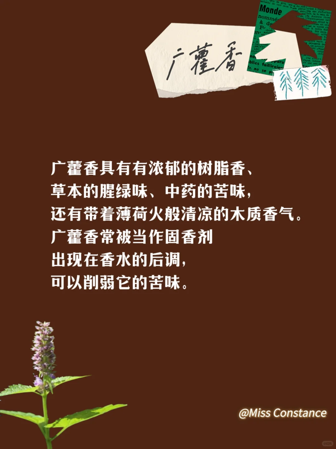 木质香科普来咯～