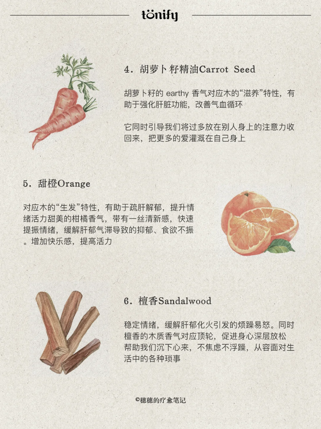 自然疗愈｜五?喜木之人适合的香气