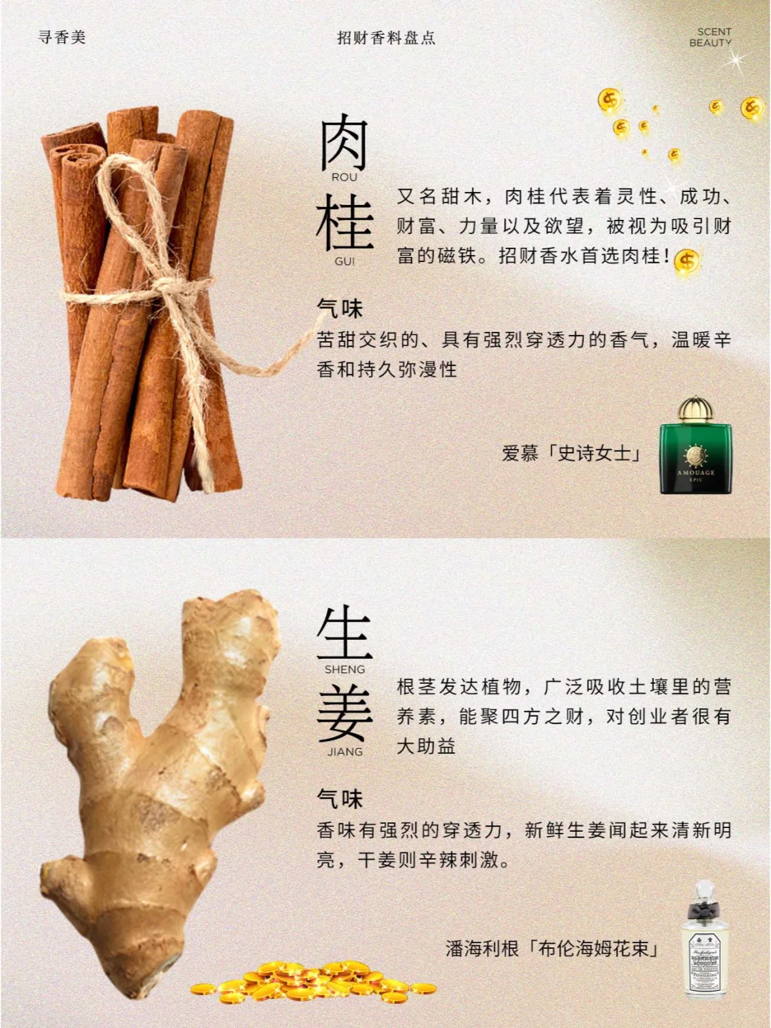 香水玄学|?这些香料自带吸金属性！！