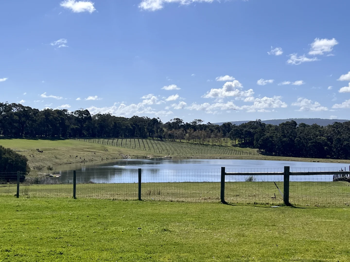 ??｜葡萄酒庄园上的午餐?????