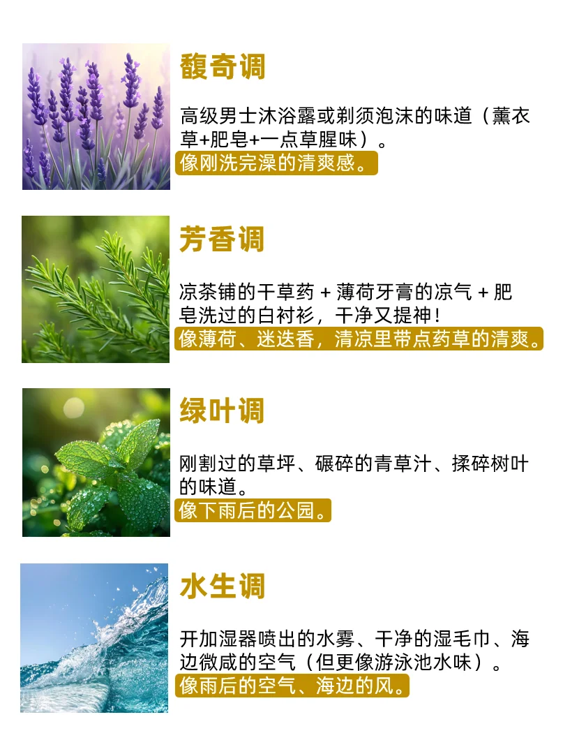 通俗易懂的经典香调?