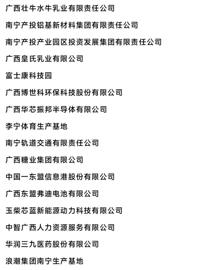 南宁头部企业盘点