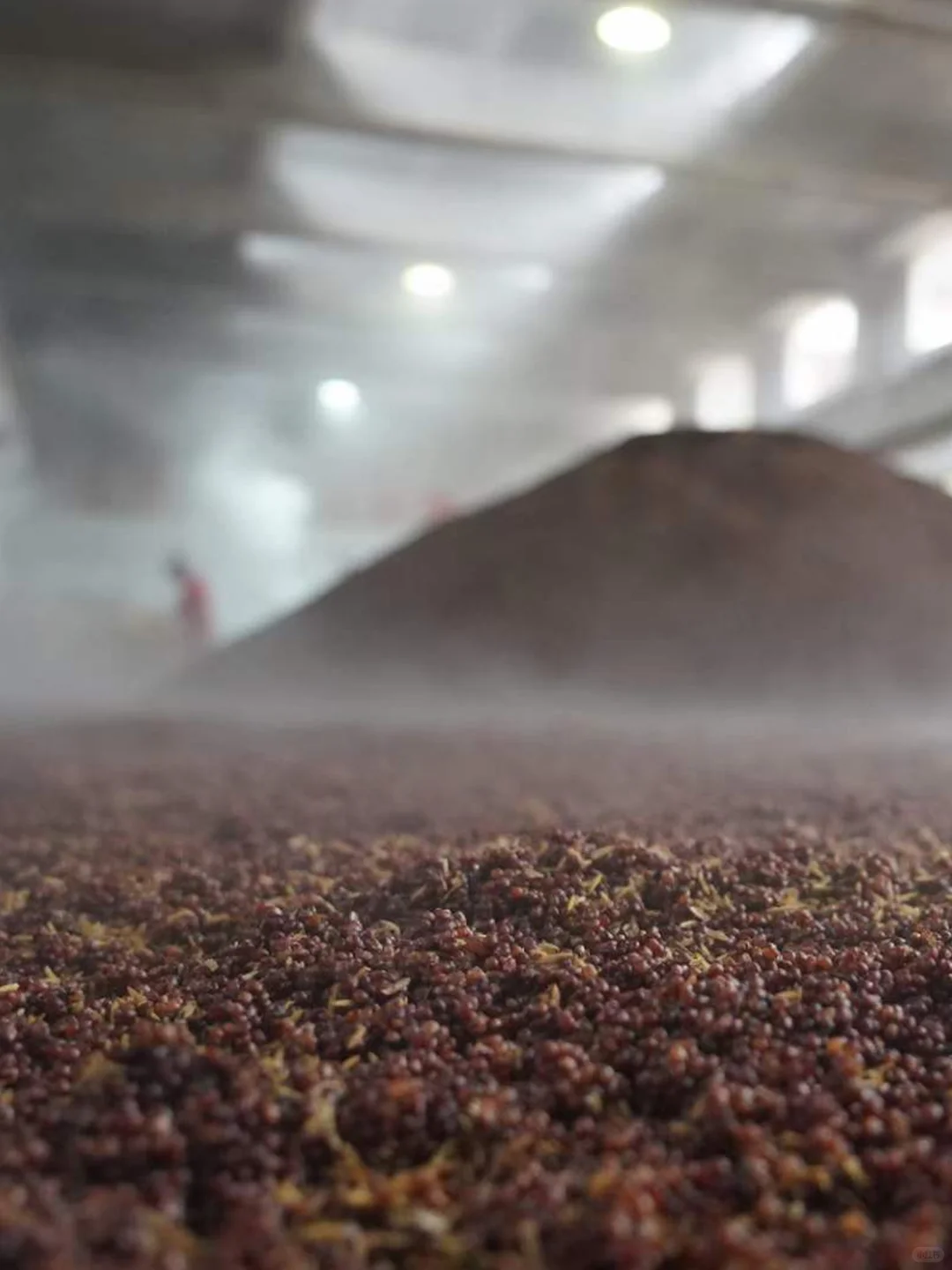 今年的三轮次取酒即将画上句号！