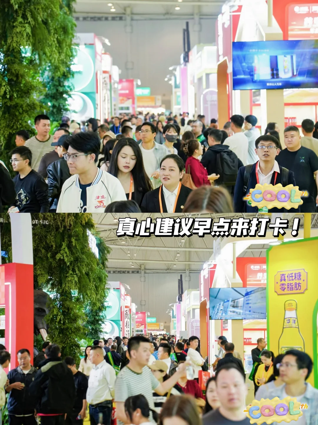 南京糖酒会保姆打卡路线|隐藏礼品大揭秘