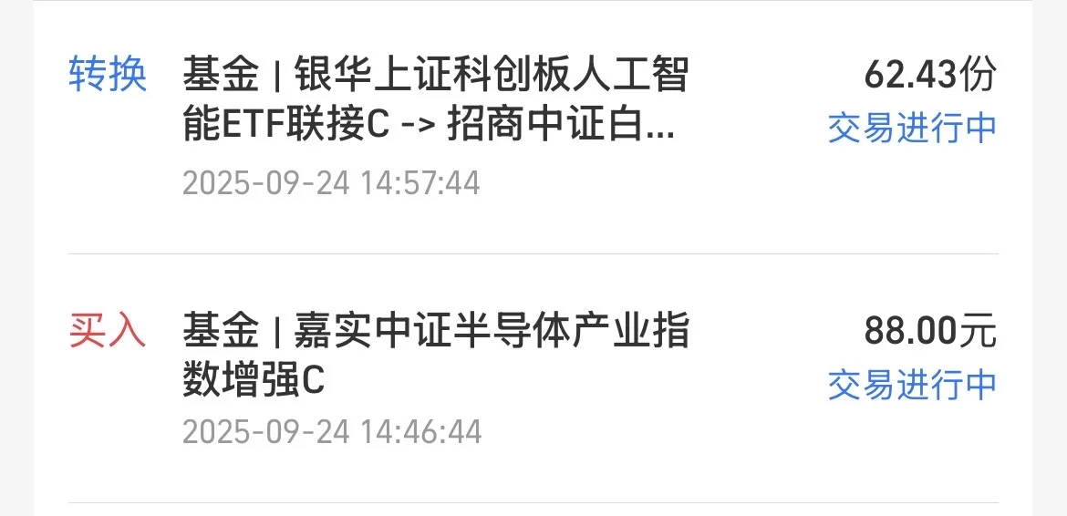 新手小白永闯基金的第二十一天